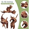 Driftwood for Aquarium, 3 Pieces 6-10" Natural Small Drift Wood Fish Tank Assorted Branch Decorations Pieces for Reptile Hide