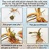 Hamiledyi 5.9-7.9in Aquarium Driftwood Reptile Spider Wood Assorted Branches Natural Trunk Driftwood Tree Fish Tank Decoration(3 PCS).