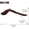 Natural Driftwood for Aquarium Decor, W24.1×D4.5×H6.5 Large Drift Wood Decorations for Reptile Hide, Fish Tank,