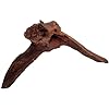 Natural Driftwood for Aquarium Decor, W41×D8×H18 Large Drift Wood Decorations for Reptile Hide, Fish Tank