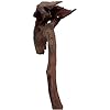 Natural Driftwood for Aquarium Decor, W28×D12×H18 Large Drift Wood Decorations for Reptile Hide, Fish Tank