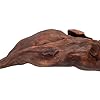 Natural Driftwood for Aquarium Decor, W24.1×D4.5×H6.5 Large Drift Wood Decorations for Reptile Hide, Fish Tank,