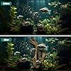 Driftwood for Aquarium, 14-18" Extra Large Drift Wood Fish Tank Assorted Branch Decorations Pieces for Reptile Hide