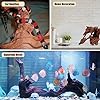 Natural Driftwood for Aquarium, 9-14" Large Assorted Branch Decorations for Reptile Hide, Fish Tank