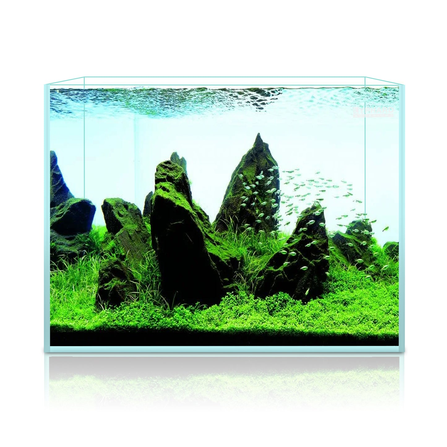 Ultra White Clear Glass Low Iron Aquarium Tank 2.9 Gal