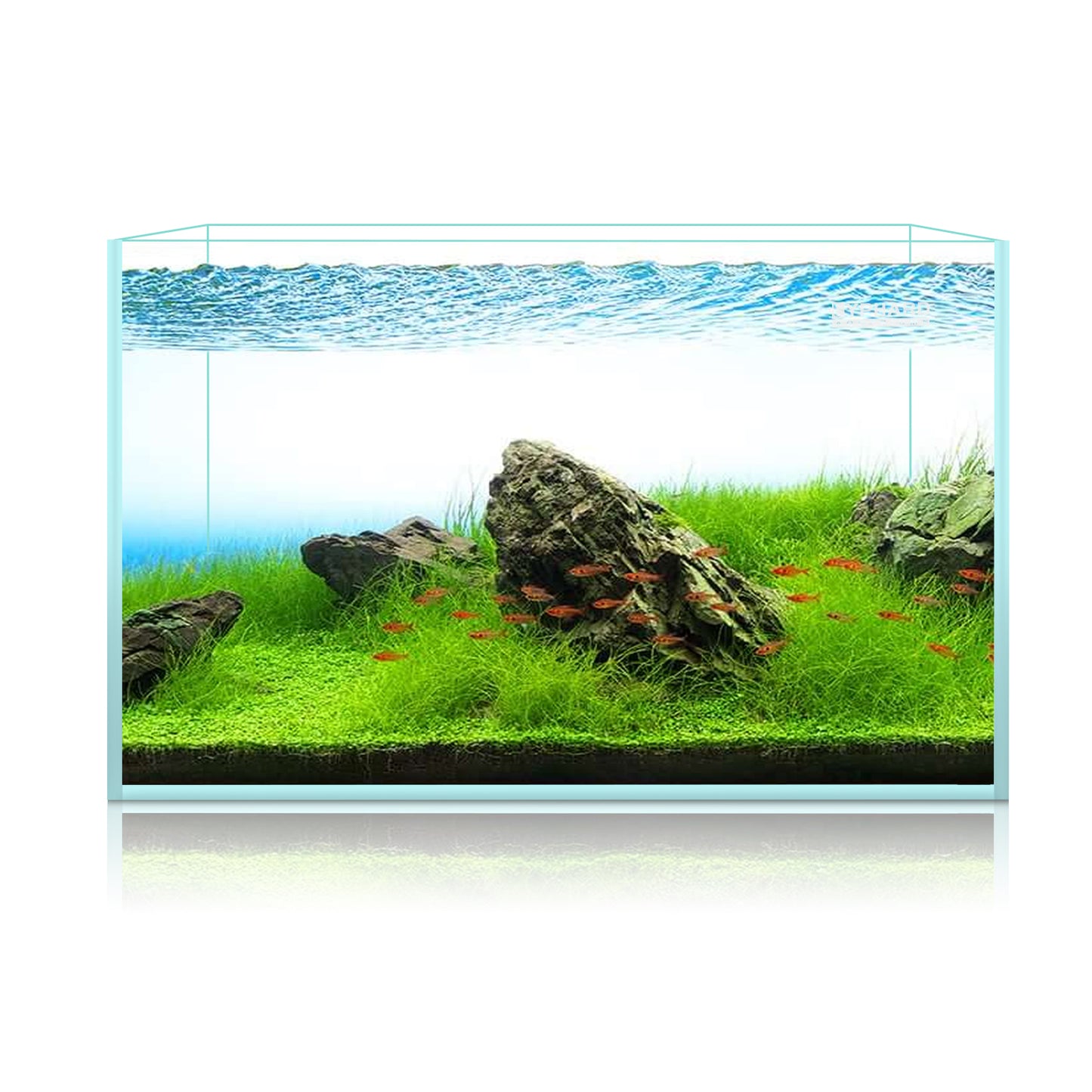 Ultra White Clear Glass Low Iron Aquarium Tank 25 Gal