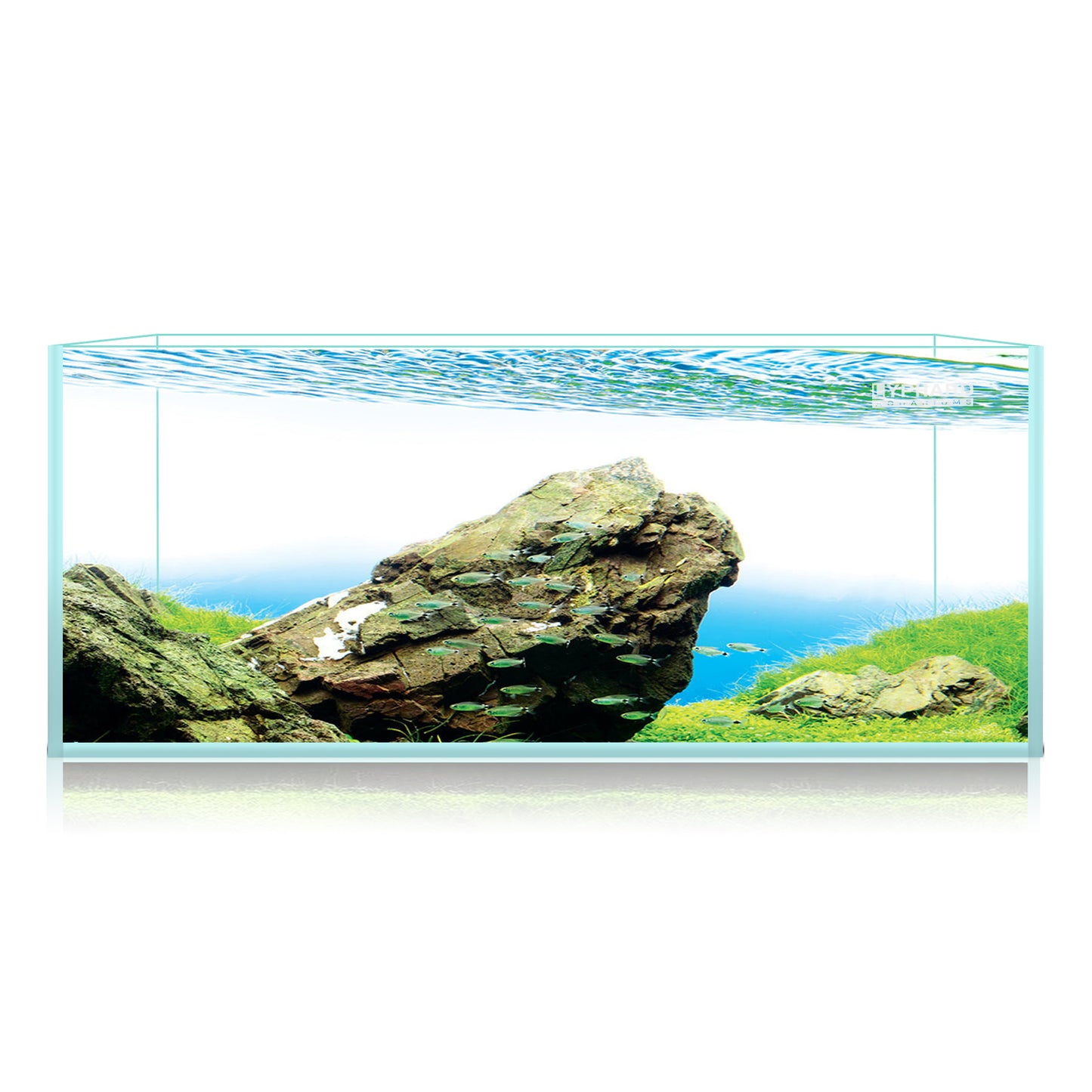 Ultra White Clear Glass Low Iron Aquarium Tank 53 Gal