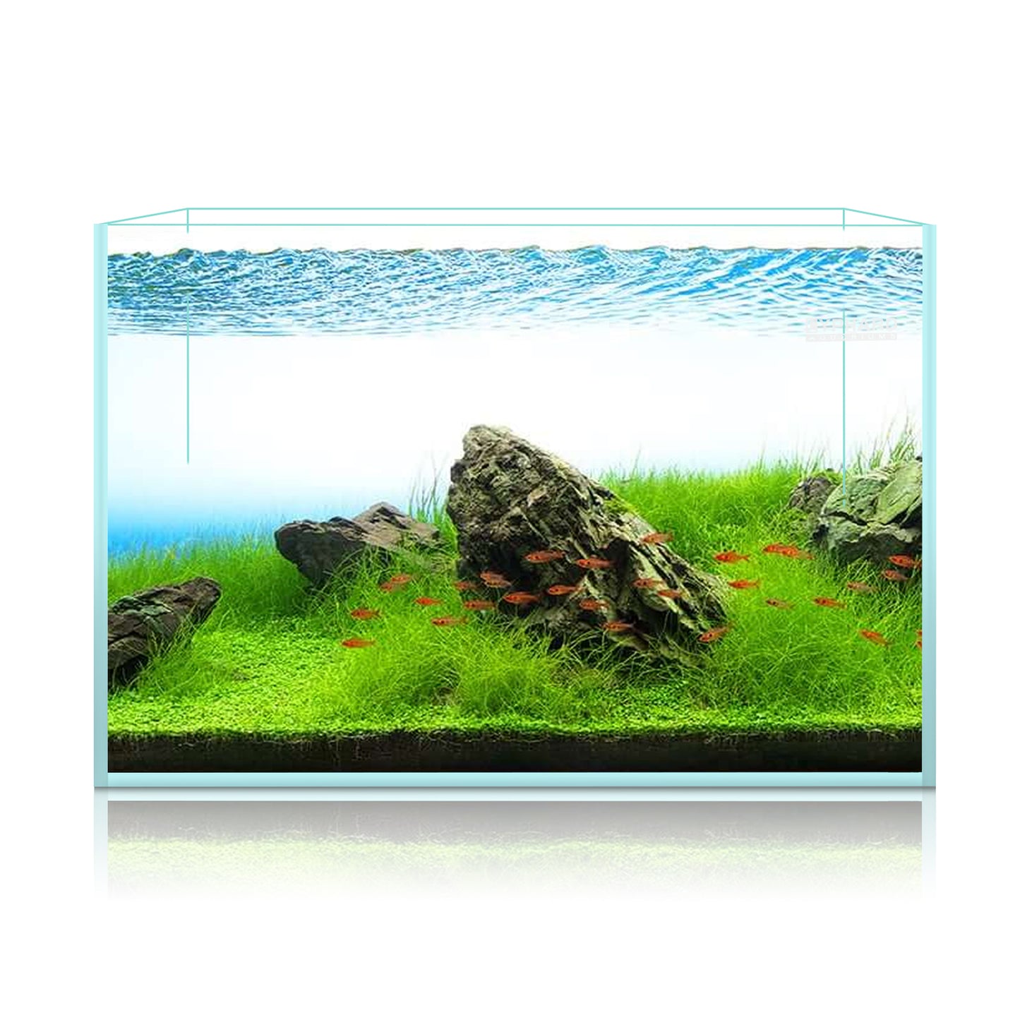 Ultra White Clear Glass Low Iron Aquarium Tank 15 Gal
