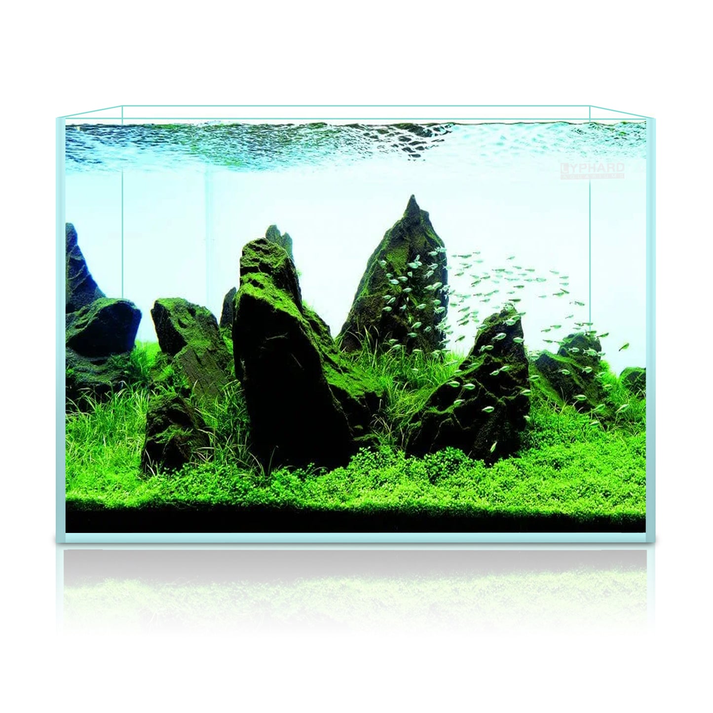 Ultra White Clear Glass Low Iron Aquarium Tank 9 Gal